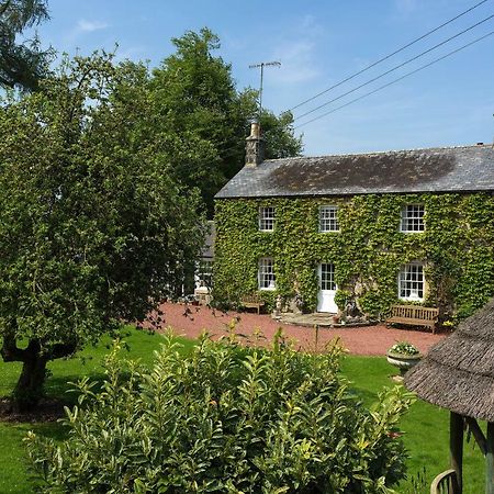 Thistleyhaugh Farmhouse 隆霍斯雷 外观 照片