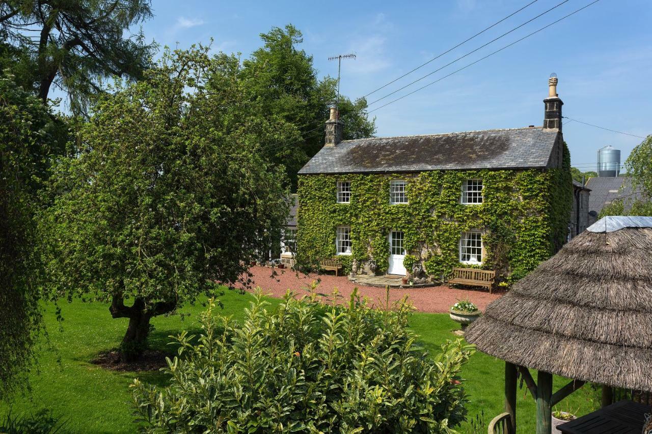 Thistleyhaugh Farmhouse 隆霍斯雷 外观 照片